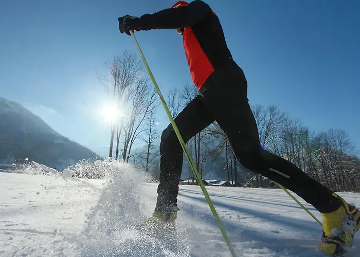 Апартаменты Gapp *